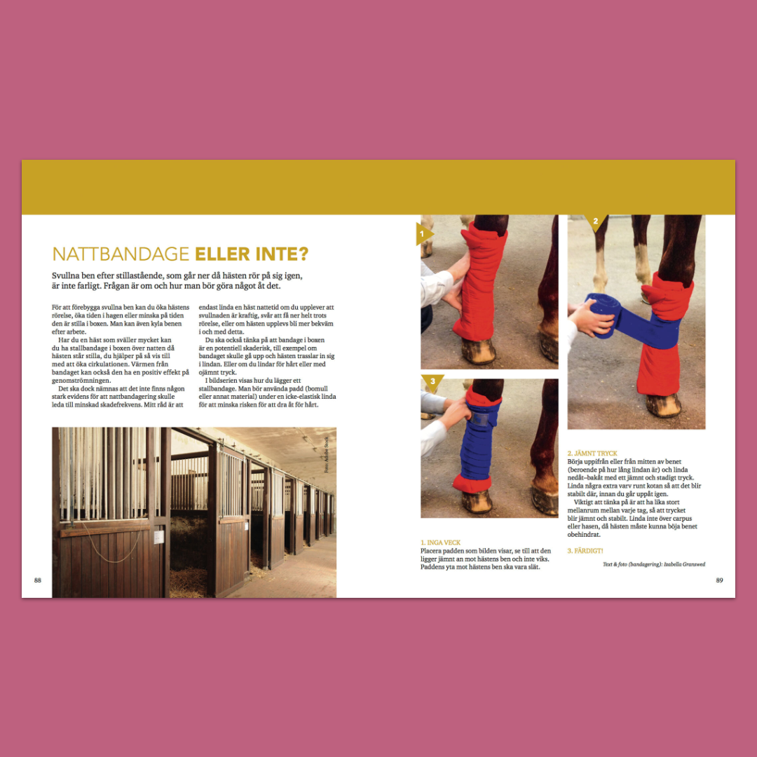 Hästhälsa i praktiken – Råd om hur du vårdar din häst