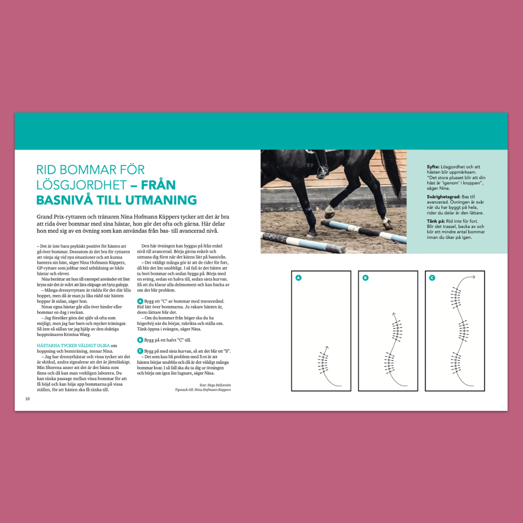 Träna hästen med bommar – 31 övningar för lösgjordhet, styrka och omväxling