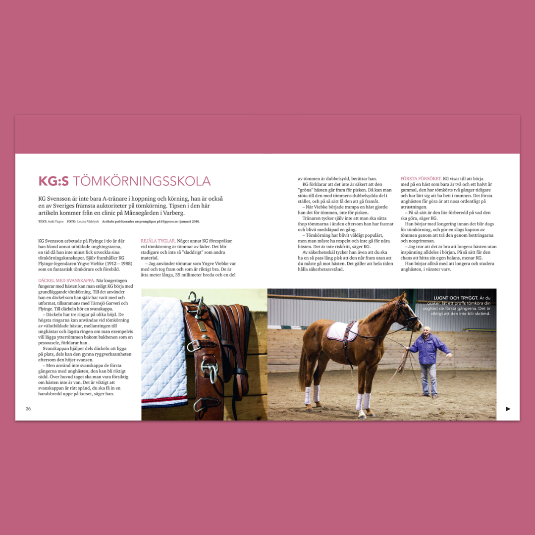 Träna hästen från marken – Variera ridningen med avsuttet arbete