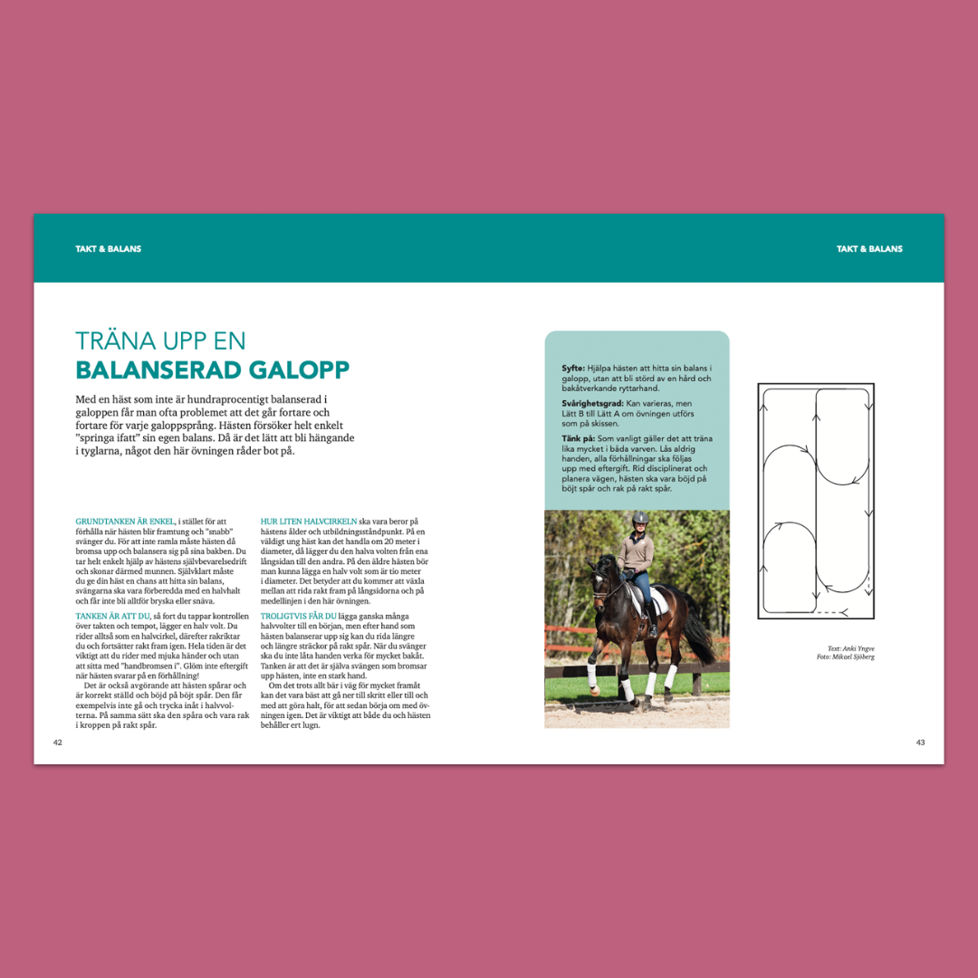 Dressyr med Hippson – 78 gymnastiserande ridövningar