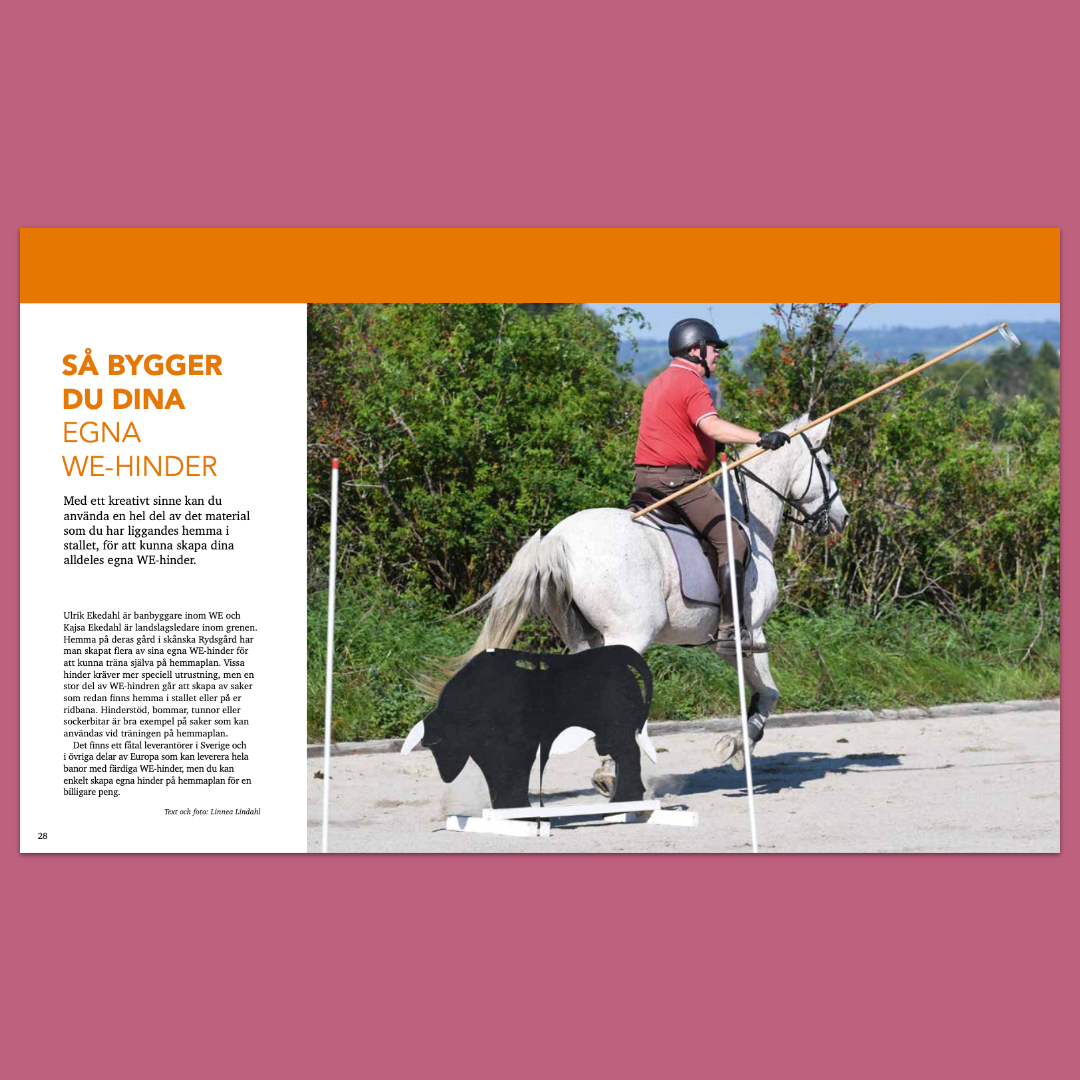 Inspireras av Working equitation – Lär dig mer om WE och utvecklas som ryttare