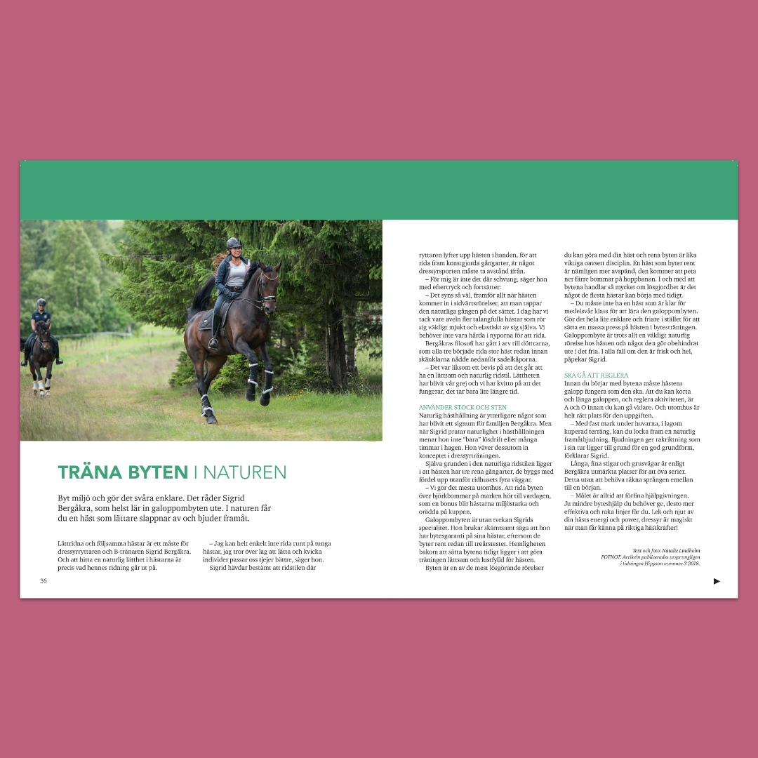 Träna hästen i naturen – Förbättra flås, teknik och bjudning