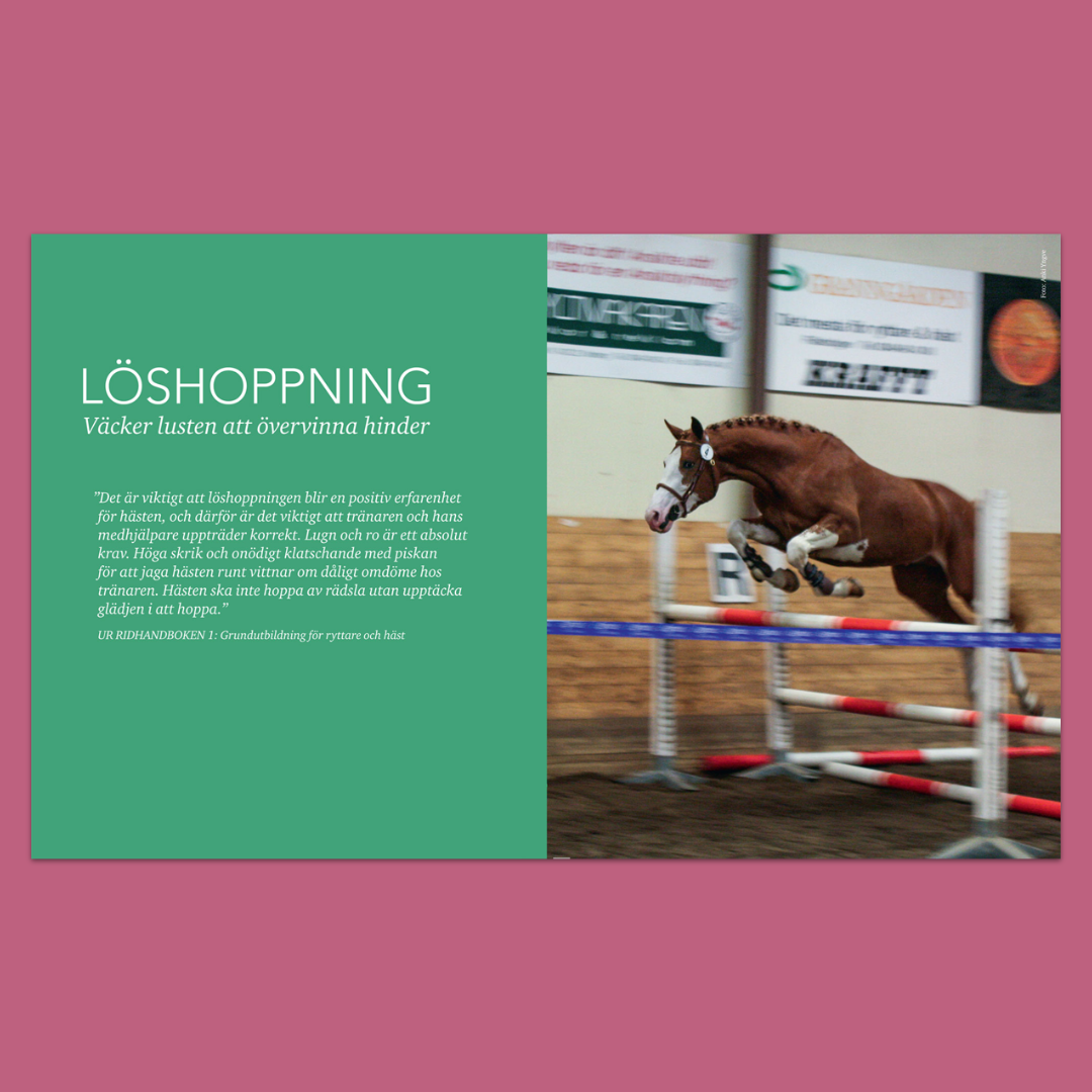 Träna hästen från marken – Variera ridningen med avsuttet arbete