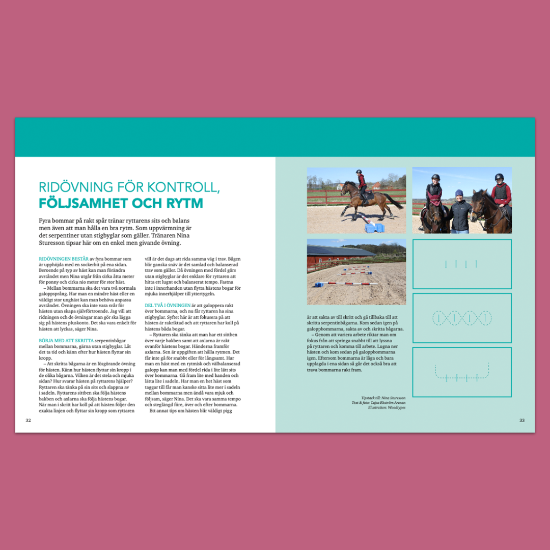 Rytm och Styrka - Utveckla hästens register med kavaletti