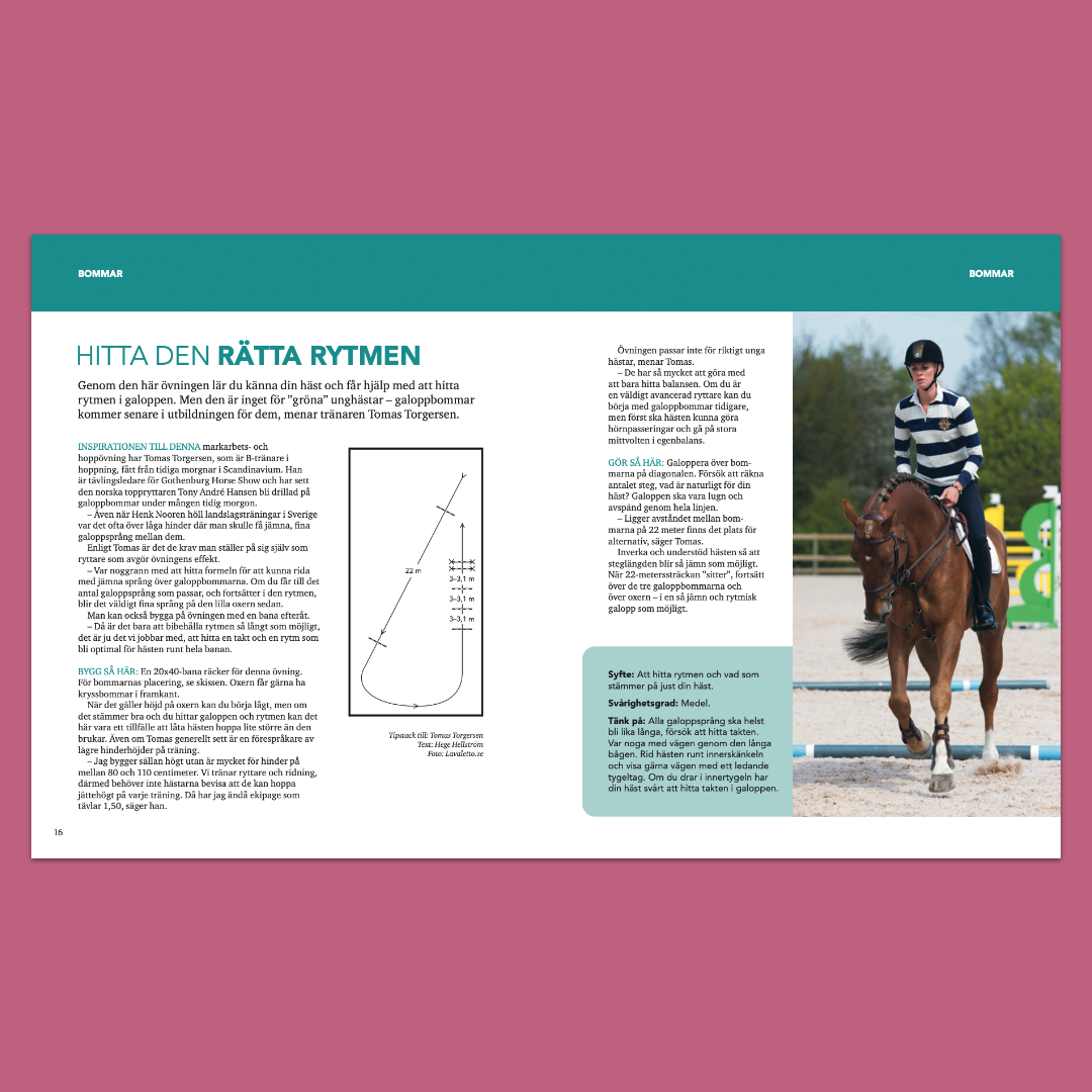 Hoppning med Hippson – 77 nyttiga hoppövningar