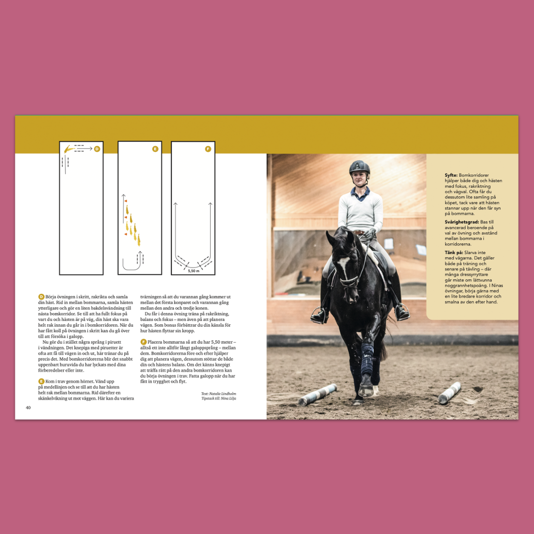 Träna hästen med bommar – 31 övningar för lösgjordhet, styrka och omväxling