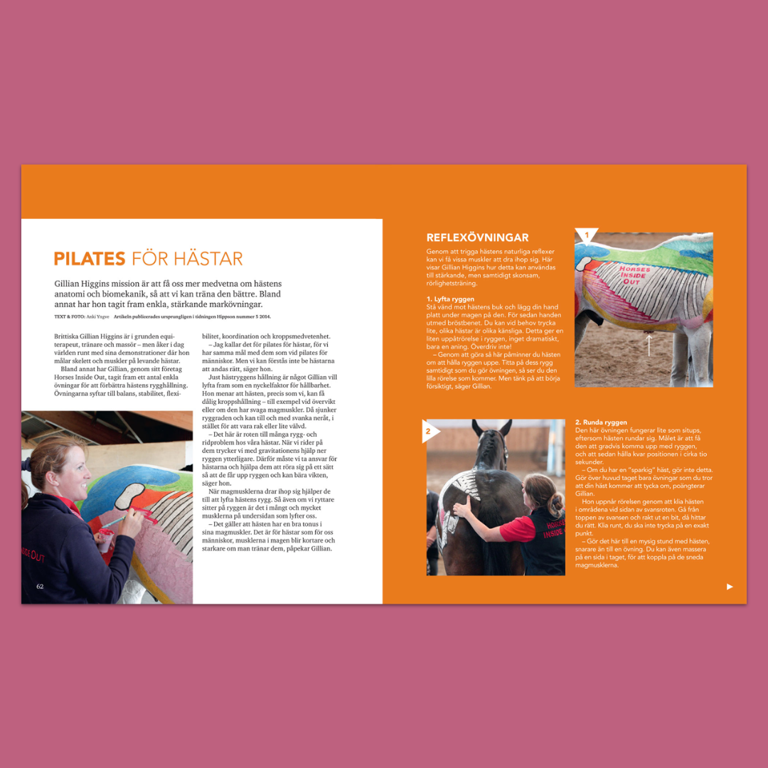 Träna hästen från marken – Variera ridningen med avsuttet arbete