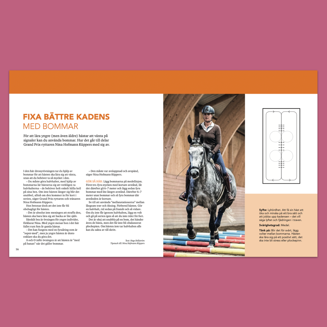 Träna hästen med bommar – 31 övningar för lösgjordhet, styrka och omväxling