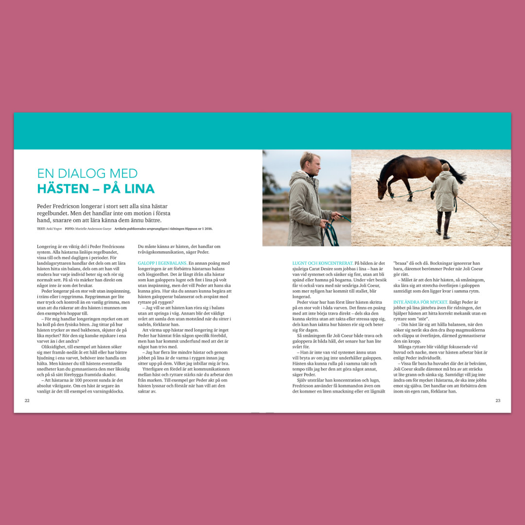 Träna hästen från marken – Variera ridningen med avsuttet arbete