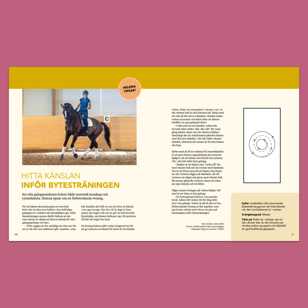 Från Lätt B till Medelsvår – Nivåanpassade ridövningar och fördjupande artiklar