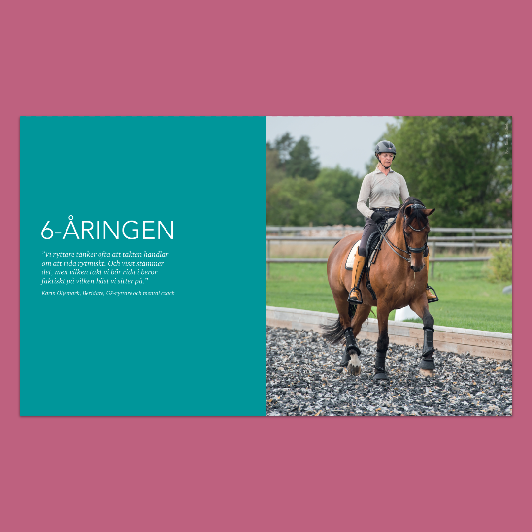 Den unga hästen – Från inridning till sexåring