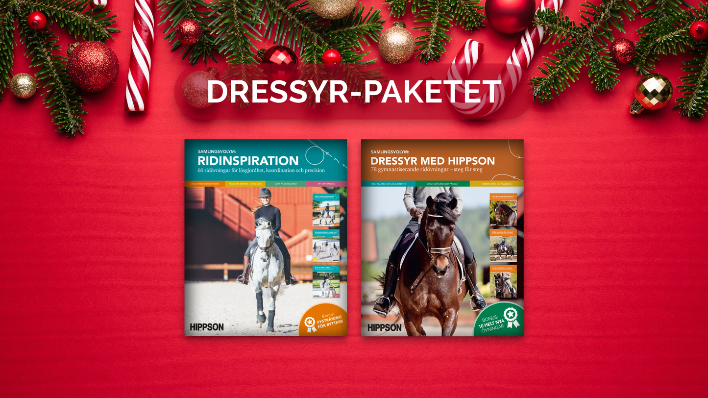 JULKLAPPSTIPS: Dressyr-paketet