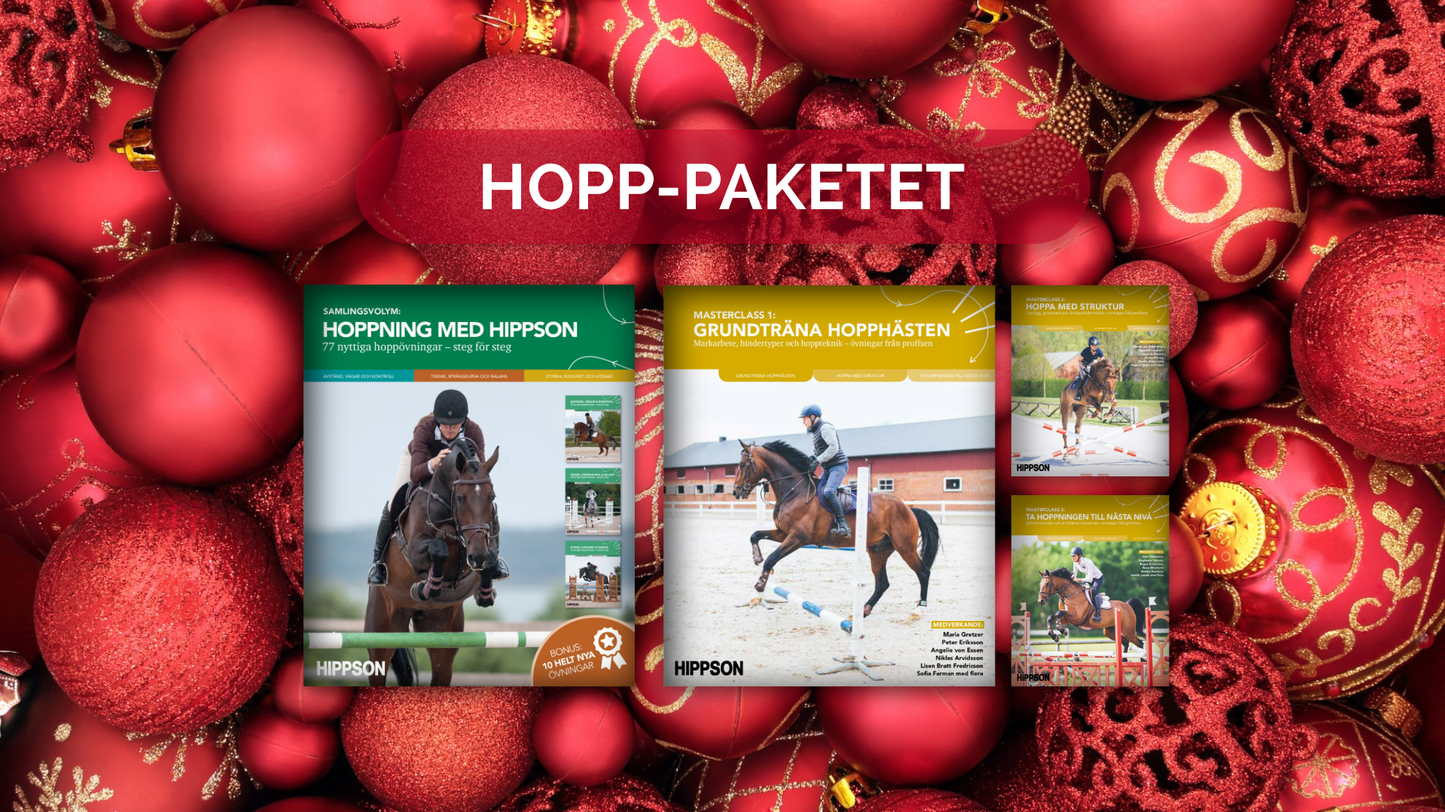 JULKLAPPSPAKET: Hopp-paketet