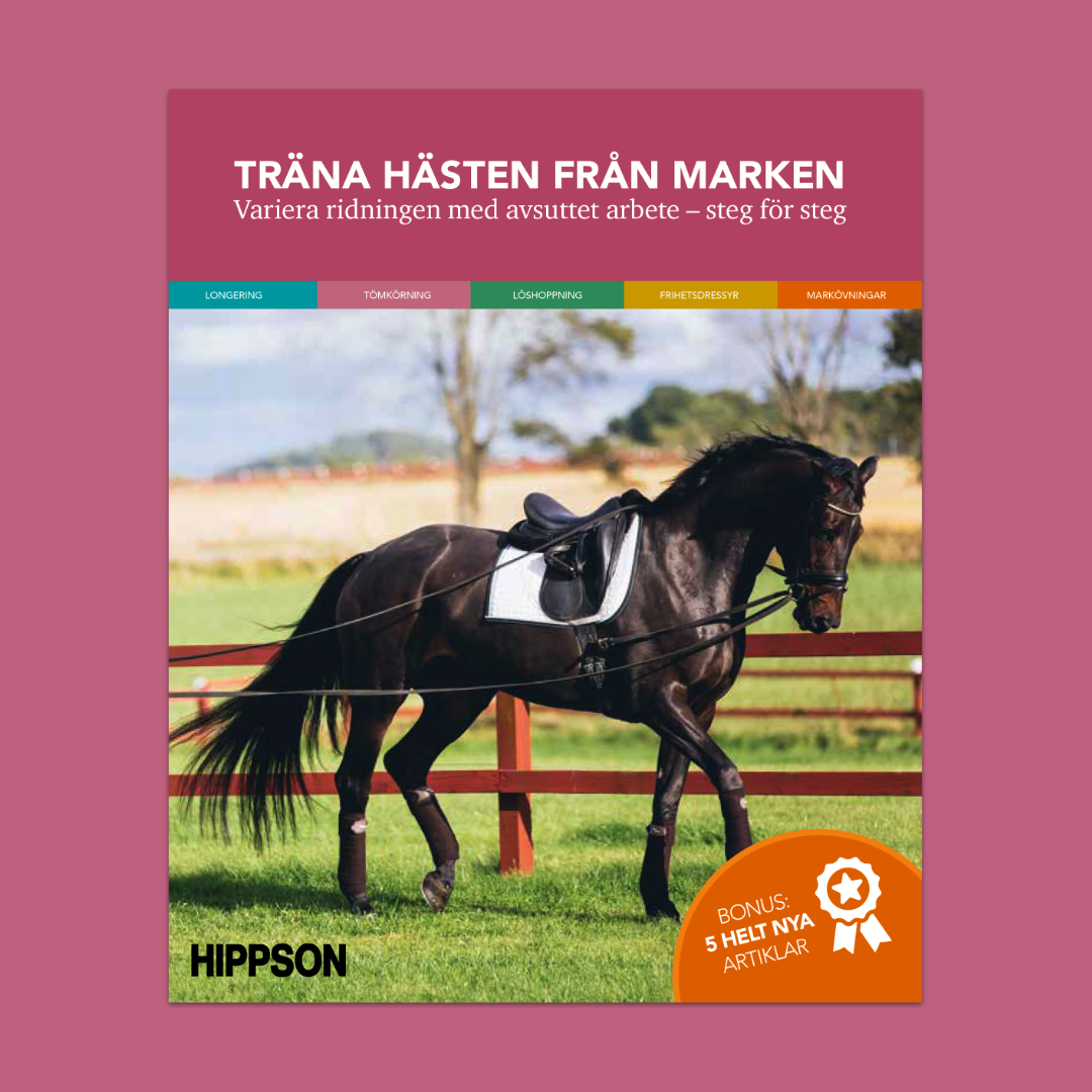 Träna hästen från marken – Variera ridningen med avsuttet arbete