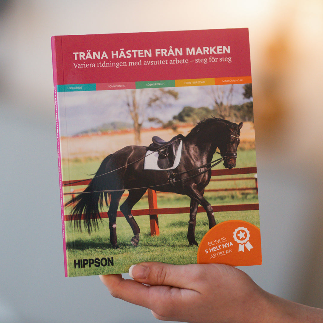 Träna hästen från marken – Variera ridningen med avsuttet arbete