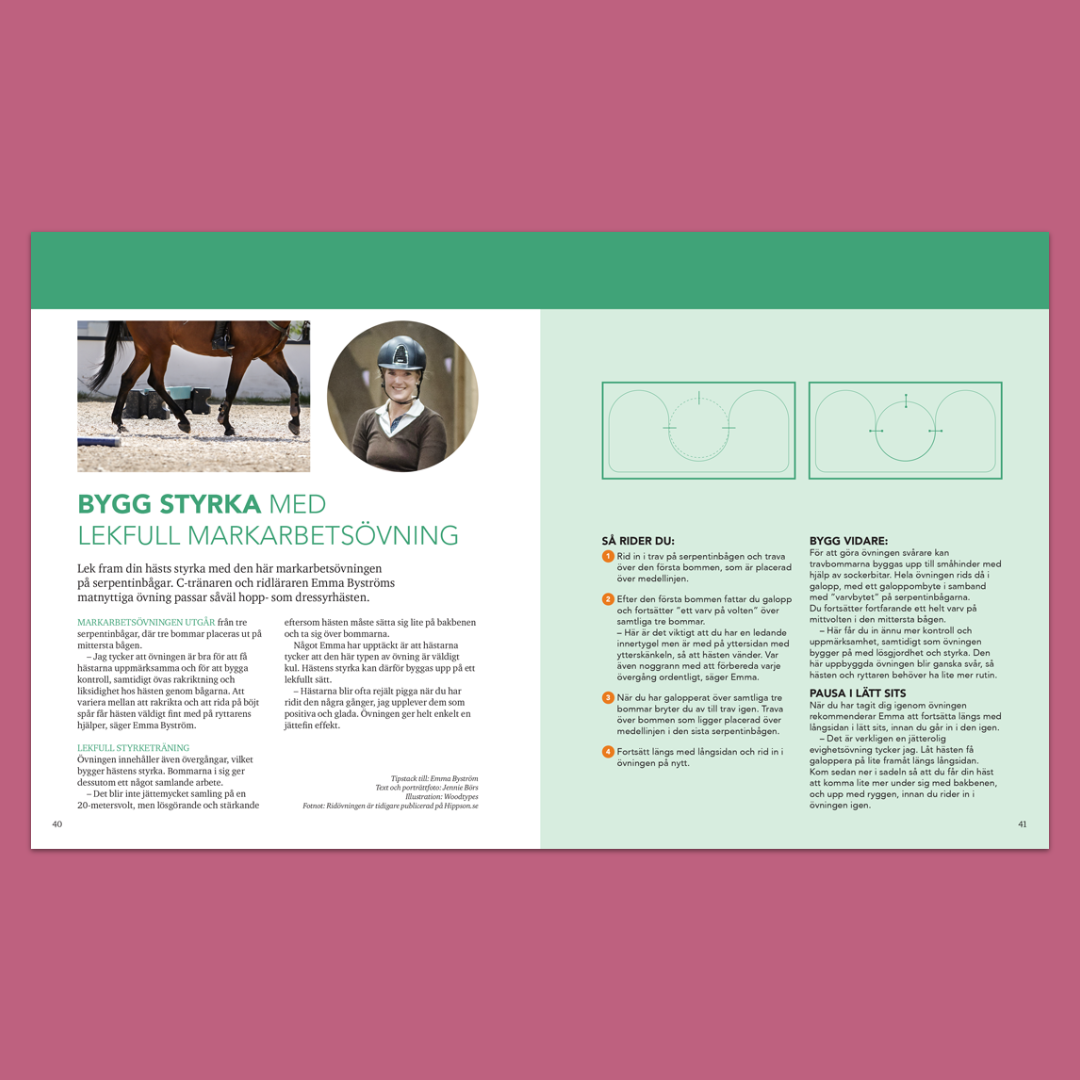 Rytm och Styrka - Utveckla hästens register med kavaletti