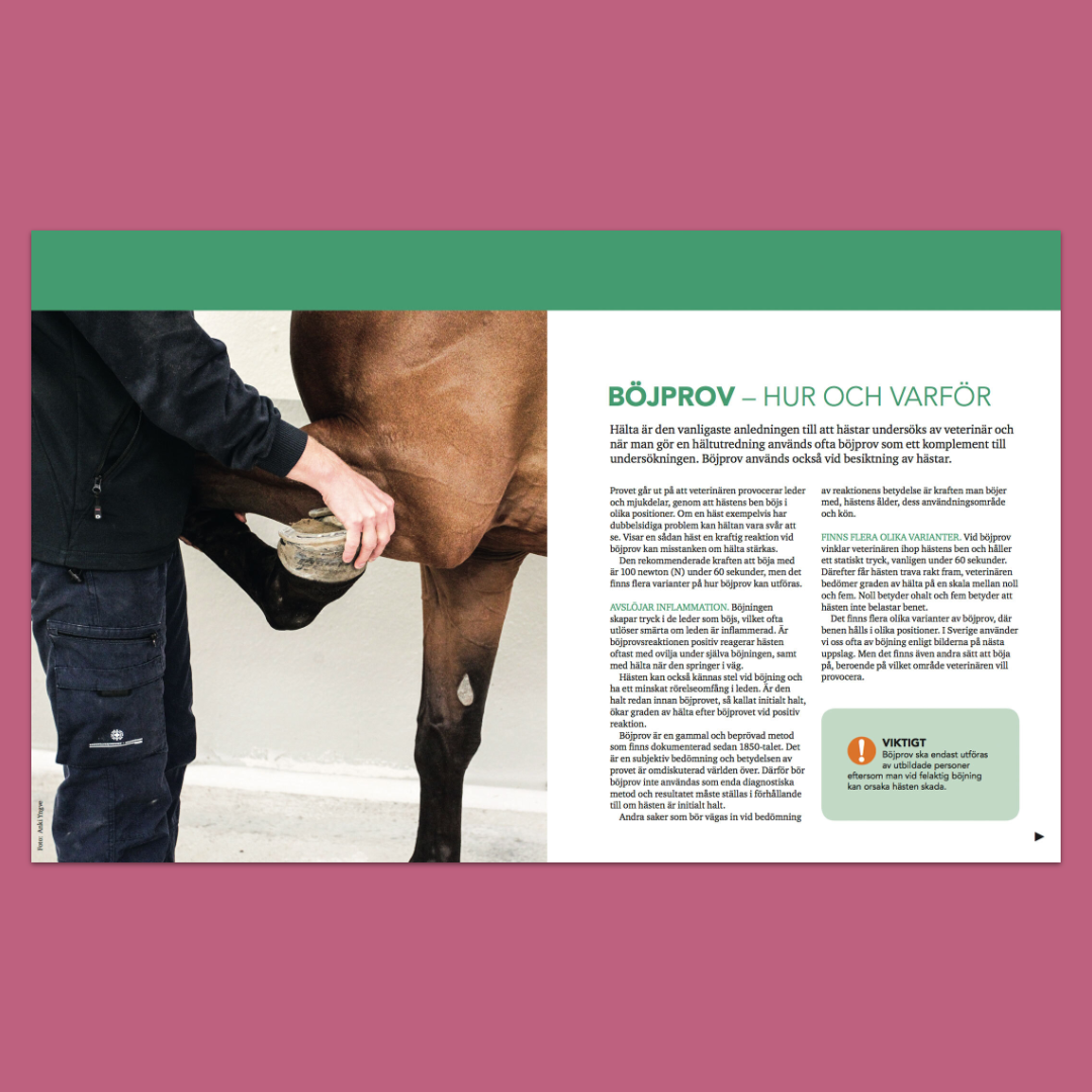 Hästhälsa i praktiken – Råd om hur du vårdar din häst