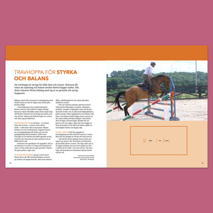 Rytm och Styrka - Utveckla hästens register med kavaletti