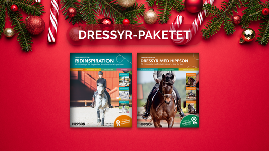 JULKLAPPSTIPS: Dressyr-paketet