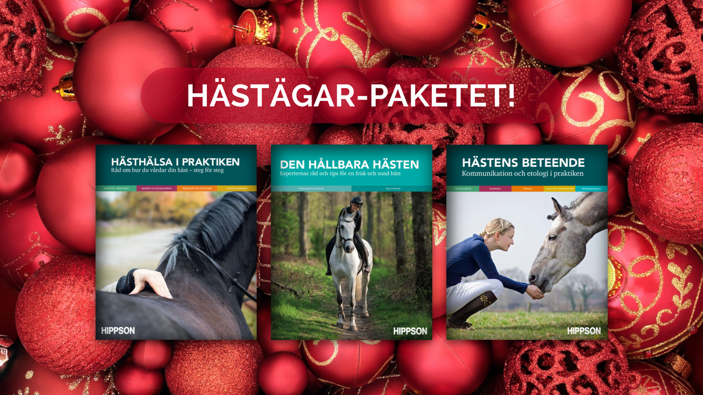 JULKLAPPSTIPS: Hästägar-paketet