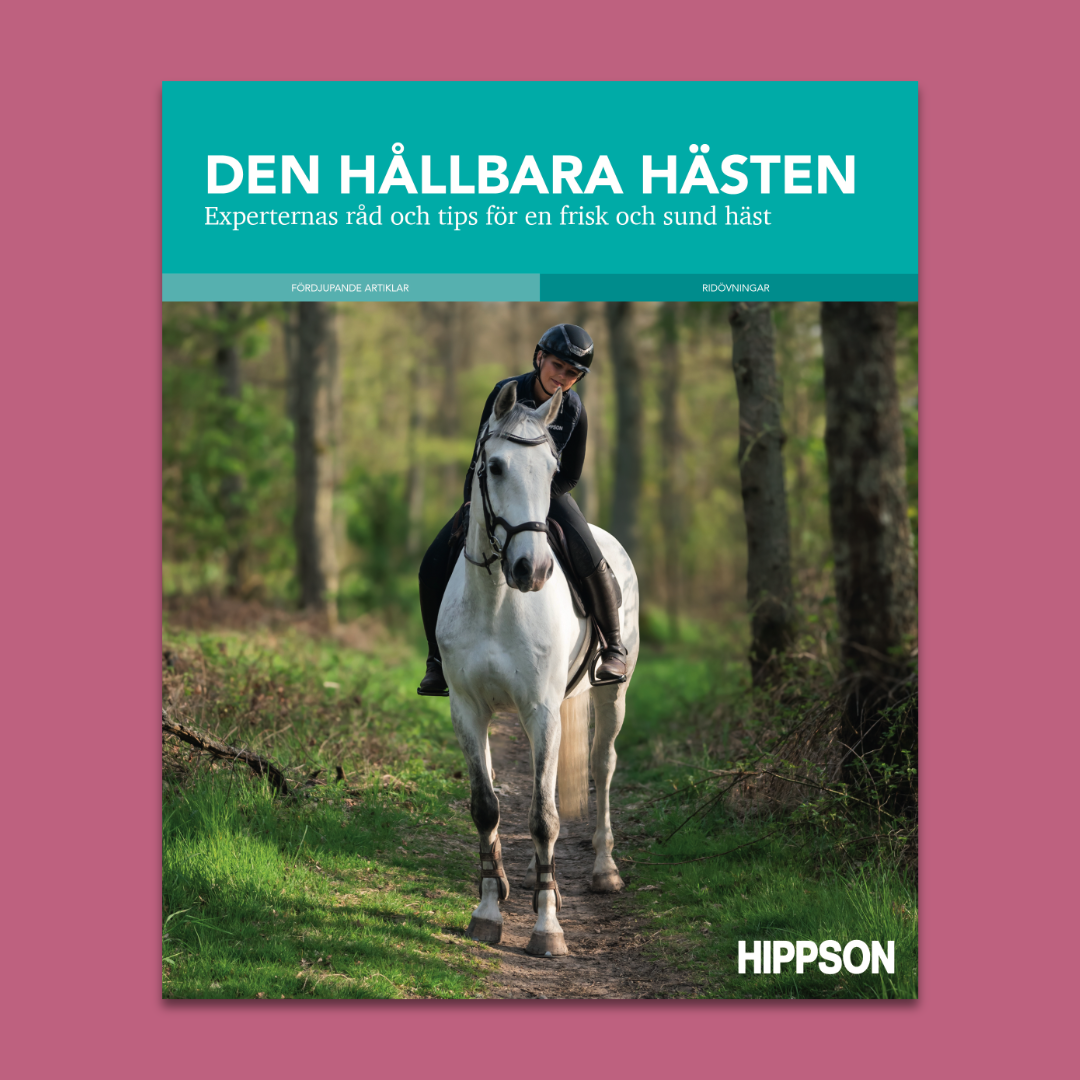 Den hållbara hästen – Experternas råd och tips för en frisk och sund häst