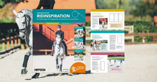 Ridinspiration - Boosta din vardagsridning