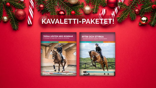 JULKLAPPSTIPS: Kavaletti-paketet